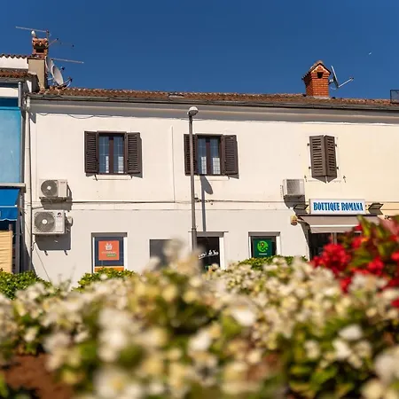 Apartment Apartments Prince *